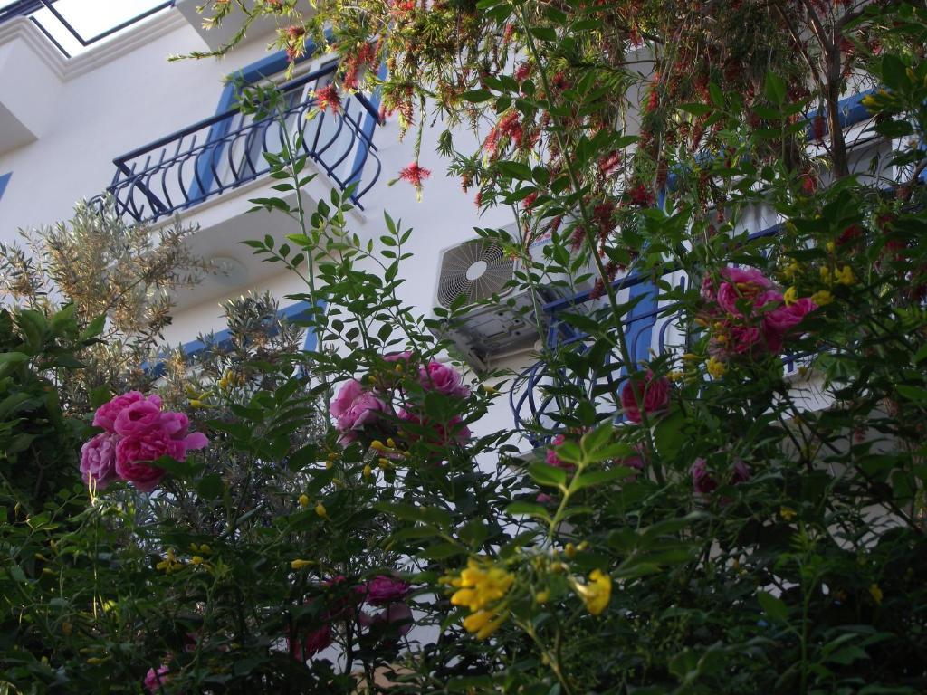Miramar Pansiyon Kaş Buitenkant foto